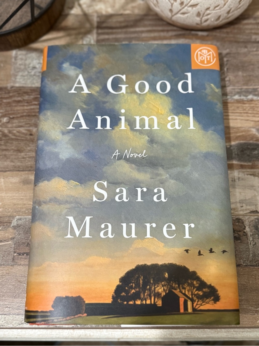 ‘A Good Animal' by Sara Maurer